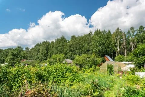 Countryside Plot with a Small House Stock Photos