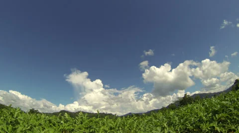 Countryside with puffy clouds timelapse Stock Footage 32948460
