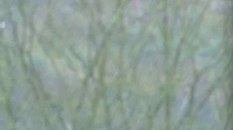 Countryside Rain Video stock 42484133