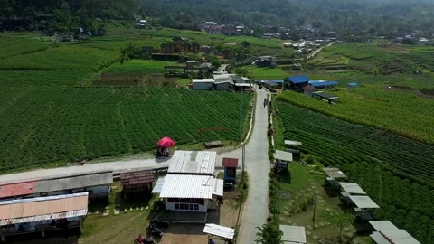 Countryside road and green fields in Trawas Mojokerto August 2 2026 Video stock 341814203
