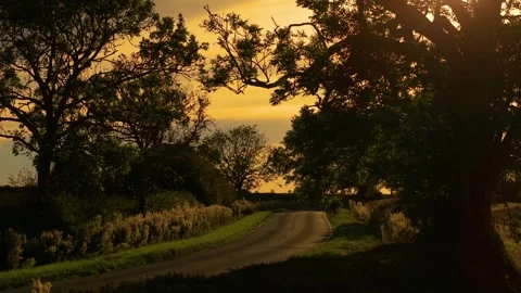 Countryside road curving between trees glowing at sunset sky. Empty countryside Stock Footage 317081403