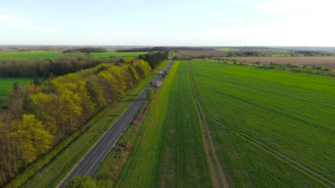 Countryside road cutting through green agricultural fields and forest edge under Stock Footage 333580320