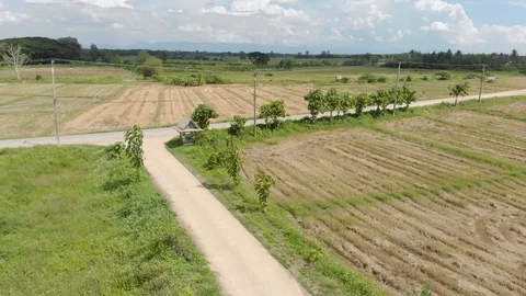Countryside road Video stock 90106448