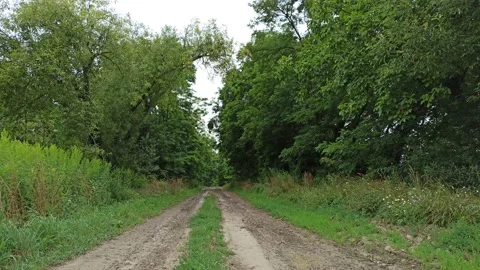 On the countryside road Stock Footage 139961943