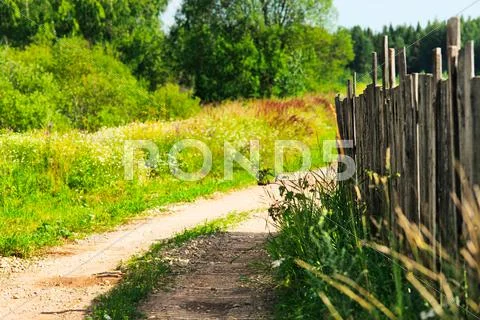 Countryside road Stock Photos