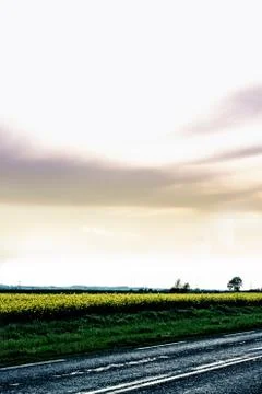 Countryside road Stock Photos