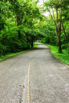 Countryside road Stock Photos
