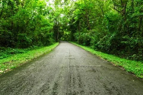 Countryside road Stock Photos