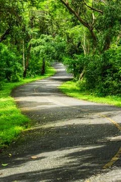 Countryside road Stock Photos