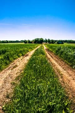 Countryside road Stock Photos