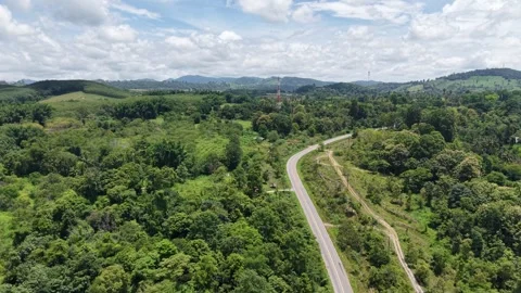 Countryside Road Through Dense Greenery Stock Footage 316360169