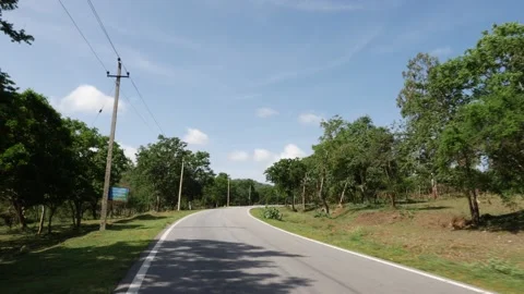 Countryside road view with trees on both sides Vídeo Stock 156990004