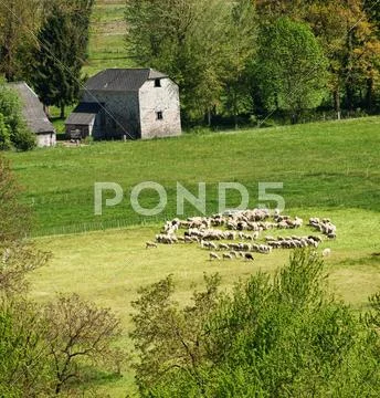 Countryside scene Stock Photos