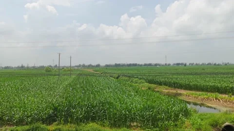 Countryside is seen outside the window along the traveling train Stock Footage 160021732