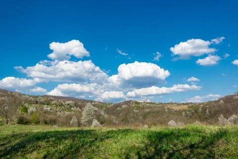 Countryside at spring time. Stock Photos