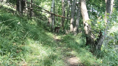 Countryside stile Stock Footage 93000176
