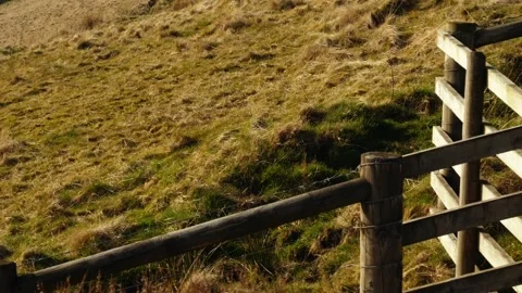 Countryside stile in rugged farmland in Peak District National Park Stock Footage 313453053