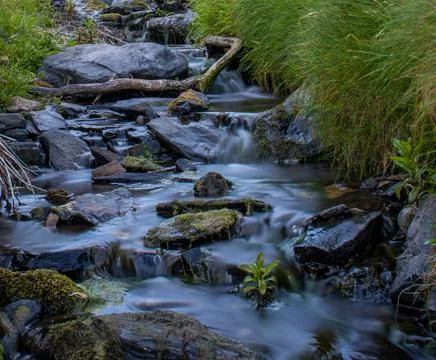 Countryside Stream. Foto stock