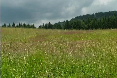 Countryside in Styria 6 Stock Footage 377425