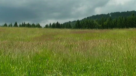 Countryside in Styria Stock Footage 133902