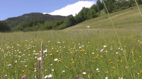 Countryside in Styria Stock Footage 2975851