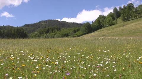 Countryside in Styria Video stock 2975896
