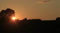 Countryside sun dusk time lapse, rays behind trees, no clouds HD Footage