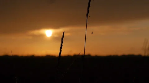 Countryside at sunset - Camera slide 스톡 동영상 68979245