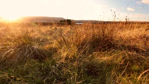Countryside Sunset Stock Footage 82250030