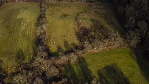 Countryside timelapse valley 스톡 동영상 233961222