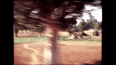 Countryside with Trees and Building Video stock 276293170