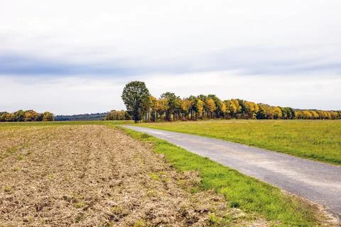 Countryside with Trees Stock Photos