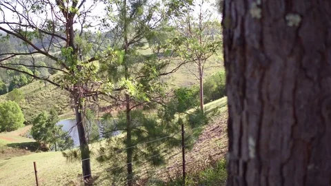 Countryside vegetation Stock Footage 74488622