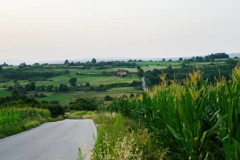 Countryside view. Corn fields, valley road, and the small village Stock Photos