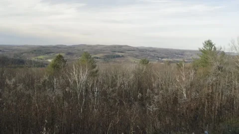 Countryside view with a flat horizon, varied forefront 스톡 동영상 166002117