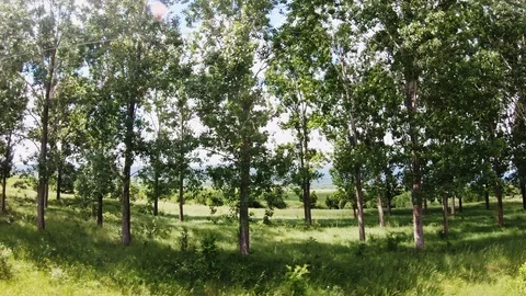 Countryside View from a Moving Train, Sofia Plain, Bulgaria Video stock 111860024