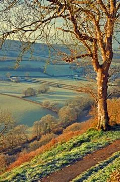 Countryside view Foto stock