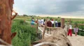 Countryside villagers walk bridge, field for ethnic festival old HD Footage
