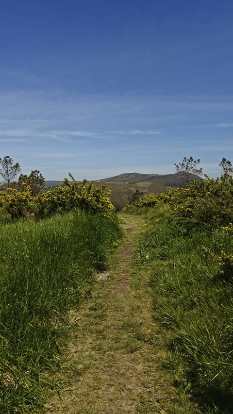 Countryside walking path with wind turbines Vídeos de archivo 338293638