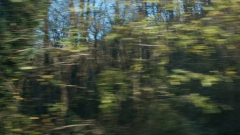 Countryside window view on moving train. High-speed train view. Railway tunnel Stock Footage 123603746