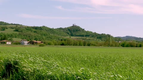 Countryside on windy day Stock Footage 167568954
