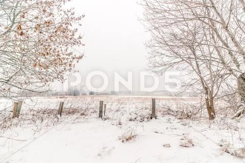 Countryside Winter Landscape With A Fence