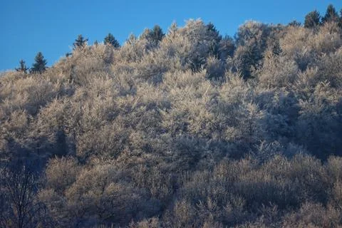 Countryside in winter Stock Photos