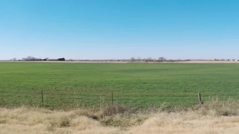 Countryside in the winter. Wheat fields. Scenic side view from car. Stock Footage 84998130