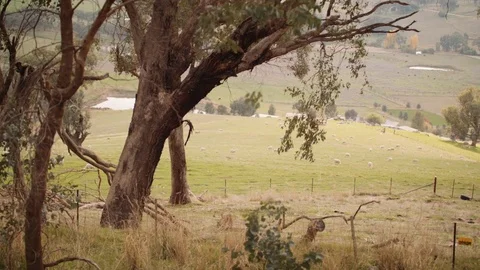 CountryviewPan Stock Footage 75260893