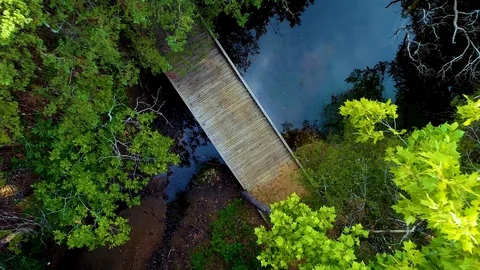 County Bridge Stock Footage 123728905