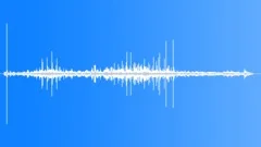 County Cricket Match In Sound Effect
