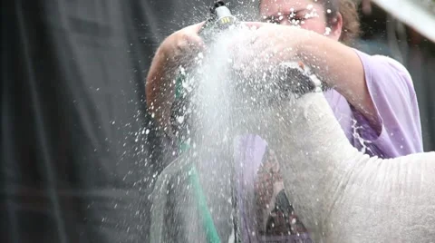 County Fair Video stock 8521589