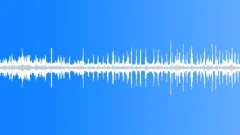 County Fair Pig SoundsSound Effect