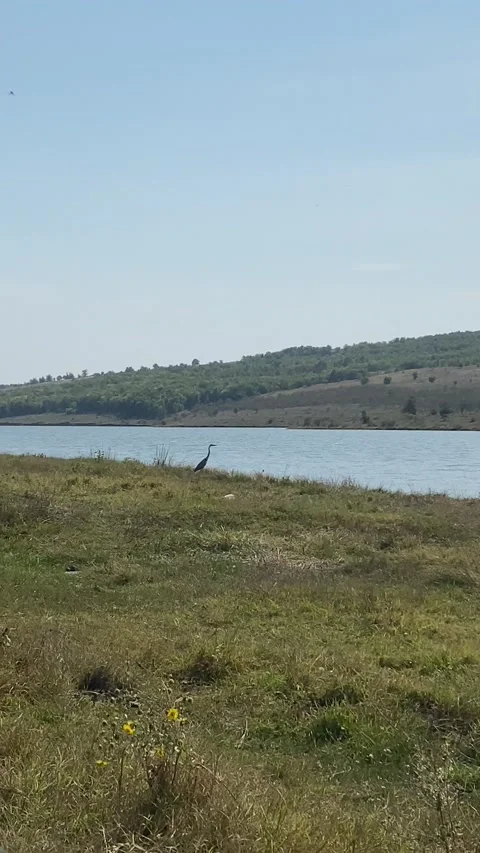 The County landscape in September Stock Footage 162037166